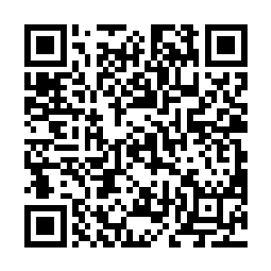 之前他们一直没有杀死田林就是因为田林活着比死还惨二维码生成