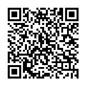 之前那离开的妖化兽类也就再带领一支妖物队伍回返二维码生成
