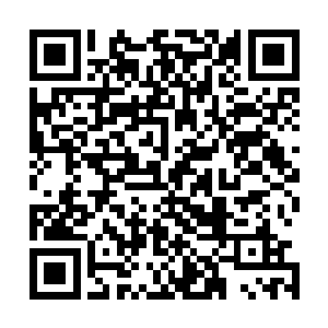 之后徐家被历代楚帝作用才有了如今的天下鸿儒之首的名声二维码生成