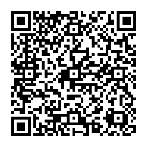 也不知道是因为当年被王族战队故意输给p1导致w1无缘四强最终连s3预选赛资格都没有给恨的二维码生成