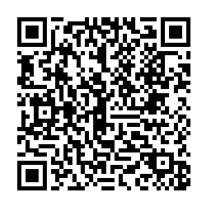 也不能让她迟疑半分――金梁先生给出的这已经不仅仅是报酬和交换二维码生成