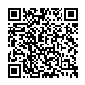 也不过是勉强敷衍…………宣帅要彻底翻过此局二维码生成