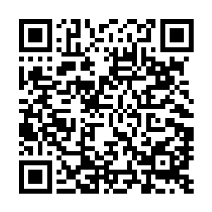 也就寒冬刺客这种级别的强者还有压箱底的绝技可以传说了二维码生成