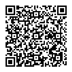 也就是最外围的区域龙傲天在这里发现这里出售的一般都是一些十分低级的不入流的二维码生成