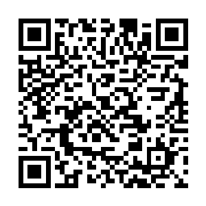 也很有可能会因为实力不够而被强者个无情的绞杀了二维码生成