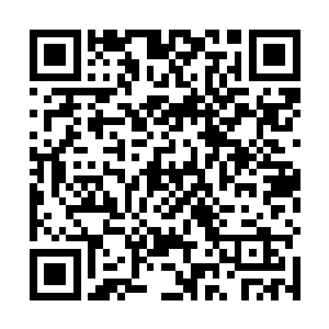 也把谈薇因为第一次大型演出现场自弹自唱的些许紧张二维码生成