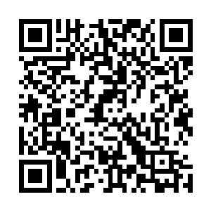 也是现在才切身体会到苗毅养她们的资源也不是轻松得来的二维码生成
