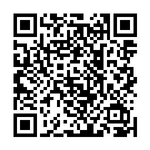 也正是之前赑屃分身准备带着一群小家伙们准备离开的那道二维码生成