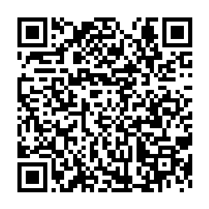 也没想明白大哥的屋子里为什么会忽然多出这么一个娇俏美丽的大丫鬟二维码生成