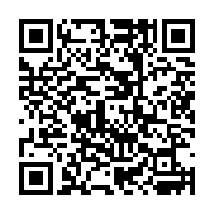 也被破晓上的攻击法阵所绽放的光芒打的支离破碎二维码生成