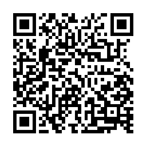 也讨厌别人碰触的祭司大人竟然会主动去抓一个人的手腕二维码生成