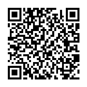 也许就是这一次伟大的尝试能给你带来不一样的命运二维码生成