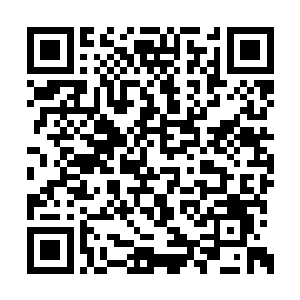也许耗费他漫长的一生都不一定能分析和总结完二维码生成