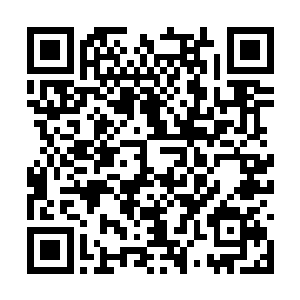 也许让魑族害怕的东西只是从它们居住的林边经过二维码生成