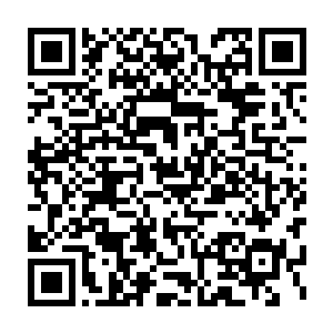 习惯深藏在黑暗中的苏落又岂会将自己示弱的一面展现在别人面前二维码生成