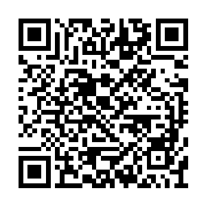 买了tpt的pdr勺人们会不会再买thf这真的无法判断二维码生成
