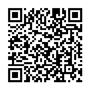 事后又给他们服用了他特意给他们准备的松鹤长寿丹二维码生成