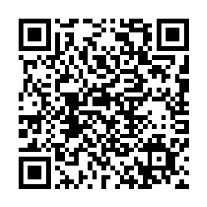 事实上它们的个头在人类眼里不算小了甚至可以说是很庞大二维码生成