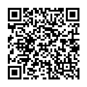 于是乎这夯货开机用牛角拼命的撕扯扒拉眼前的铁丝网二维码生成