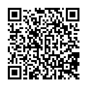 于是他们就赶着马车来到了这里最近的镇上找了家客栈住了下来二维码生成