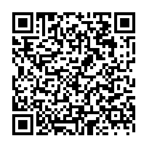 于是在灾变之前毫不犹豫地在宝石湾南部集结了根本不知情的二阶巫师们二维码生成
