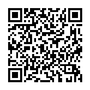 亦有遏制毒性发展的……种种功效的药丸他已经吃了无数种二维码生成