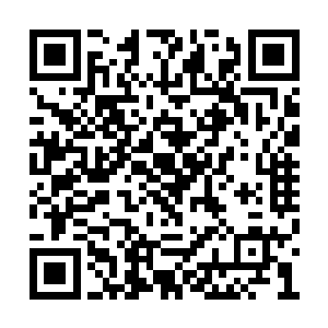 人们一巴掌拍上去很有可能杀不了任何一只蚂蚁二维码生成