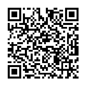 人类对他们的爱就是倾其一生也无法陪伴他生命的十之一二二维码生成