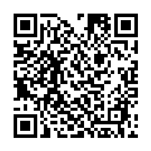 仇大小姐的堂弟仇仲谋被一个叫秦洛的开枪家伙打伤了二维码生成