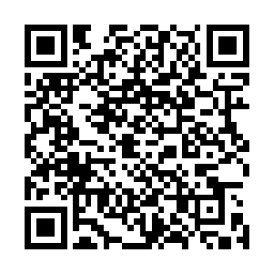 从他们邀请自己等人来凌霜城肯定就没有抱什么单纯的目的二维码生成