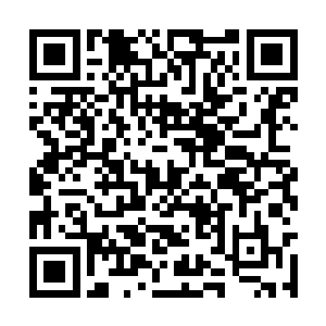 从刚刚的天花板就已经小小体现了这个房间的档次二维码生成