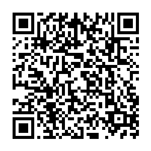 从员工的小院出来到家里大半的时间贝海和黎未未就在讨论着儿子二维码生成