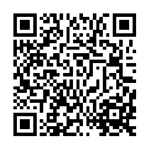 从小练的基本功中就有用抖大枪的方式来体会拳法的发力和用劲二维码生成