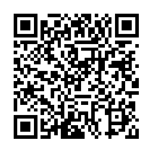 从开篇便极为透彻地讲诉了阵盘阵旗炼制的原理二维码生成