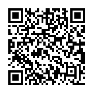 从背后的背包里拿出了那用龙蟒的皮子做成的一双龙蟒手套二维码生成