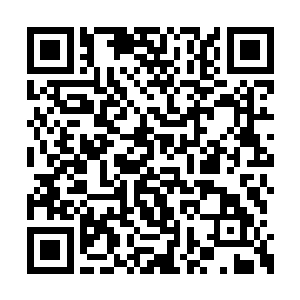 从荣耀至死创造公告牌单曲排行榜十五连冠开始二维码生成