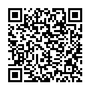 从车里的夹板中拿出一张红色的帖子和一本证书交给秦宇二维码生成
