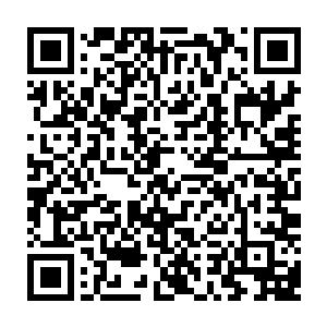 从这圣境之中散发出来的气息龙傲天也微微能够推断出老者全盛时期的修为二维码生成