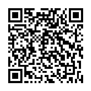 从这艘仙族战舰上曾经发射出去一道……类似神念的讯号二维码生成