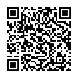 从那些护卫身上穿的衣服可以判断他们是神翼族的人二维码生成