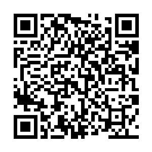 他不但领导了我们茅山南分院成为超越三大顶级道门的存在二维码生成