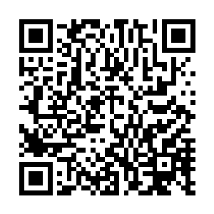 他不禁想起前段时间看到的关于苏德双方军队的王牌飞行员二维码生成
