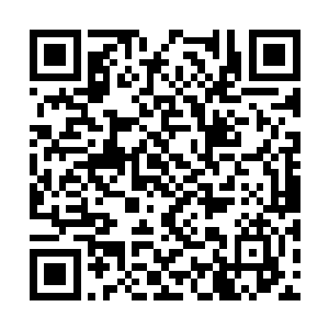 他也不会堵上自己的事业前景漫无目的地报仇雪恨二维码生成