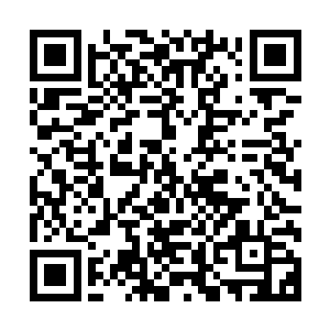 他也在这个剑术训练馆中一次次挥汗如雨的磨练着自己的剑法二维码生成