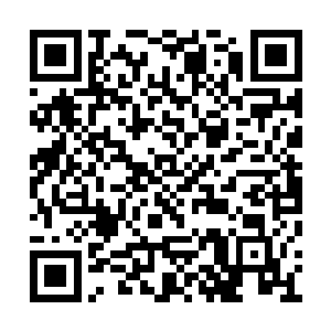 他也是打算用自己的死亡给自己的兄弟拖延时间二维码生成