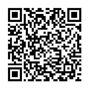 他也是沿着一条根系一路挖掘下去……至少肯定了它延伸的长度二维码生成