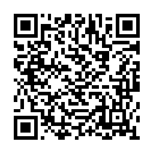 他也算是学习到了不少有关于佛门的历史和知识二维码生成