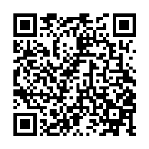 他们与许许多多来自不同宇宙和位面的高手交过手二维码生成