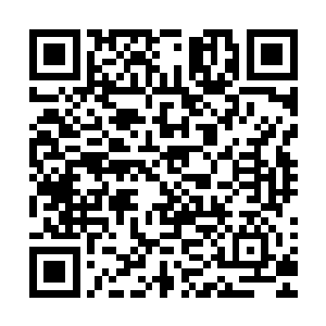 他们原本以为传说中霸气无敌的踏雪无痕墨角腾云兽会很凶残二维码生成