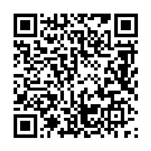 他们又恢复了活力如果切尔西能够抓住这几分钟的机会二维码生成